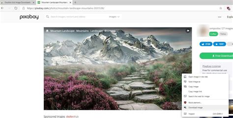 Image downloader .